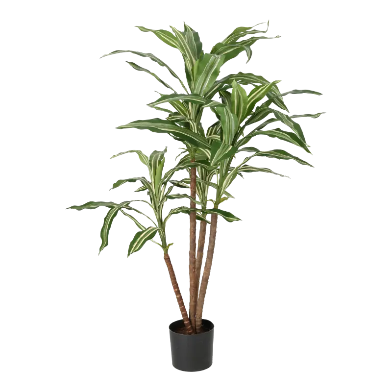 Kunstig Dracaena - H: 80 cm.