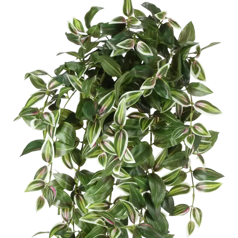 Closeup af Kunstig Tradescantia hængeplante - H: 100 cm.