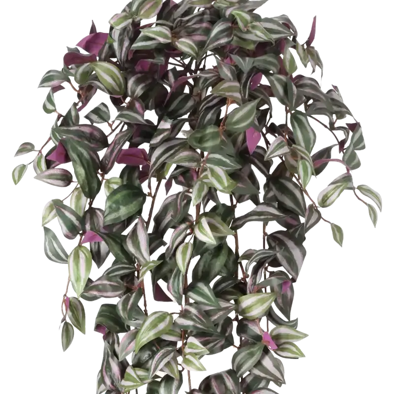 Closeup af Kunstig Tradescantia hængeplante lilla - L: 100 cm.