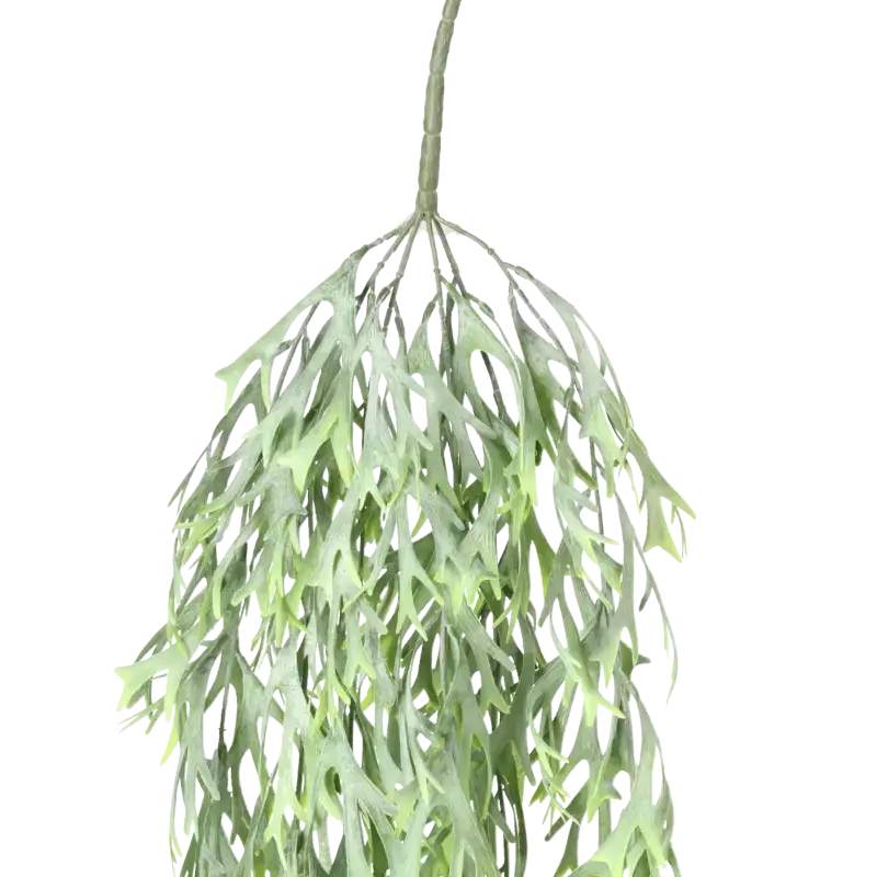 Closeup af Kunstig staghorn hængeplante - L: 65 cm.