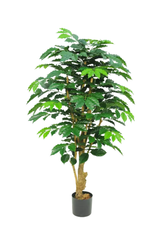 Kunstig kaffetræ - H: 170 cm.