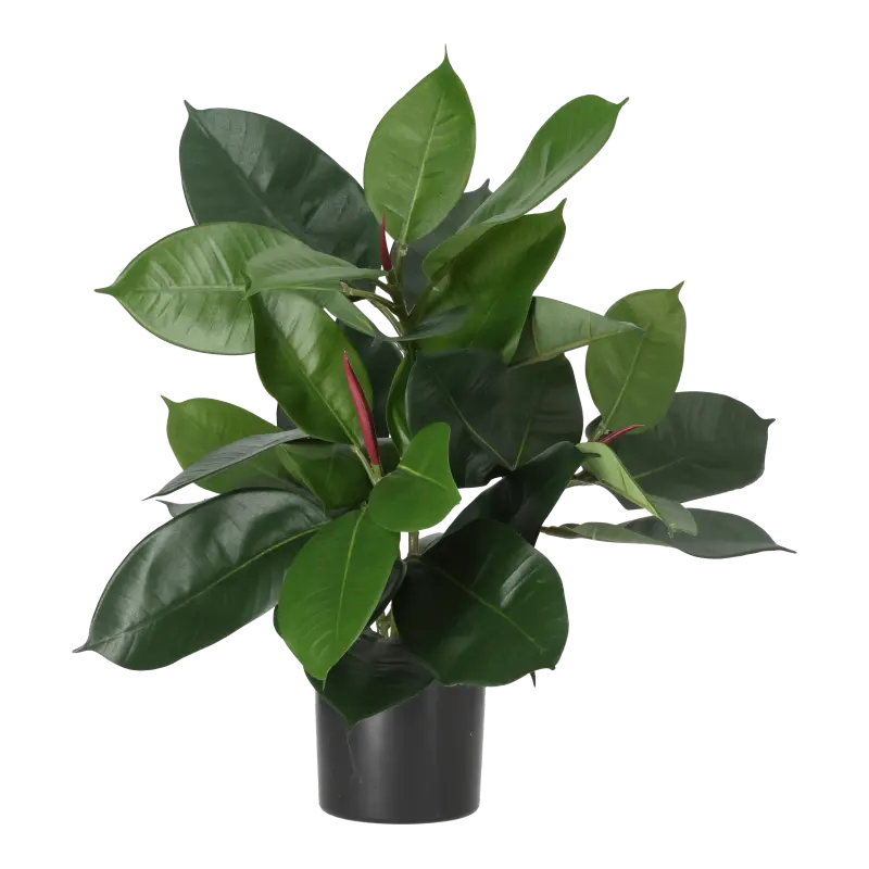 Kunstig gummiplante - H: 38 cm.