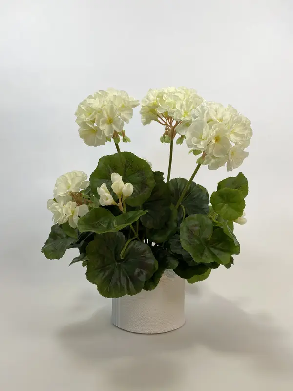 Kunstig geranium busk creme - H: 29 cm.