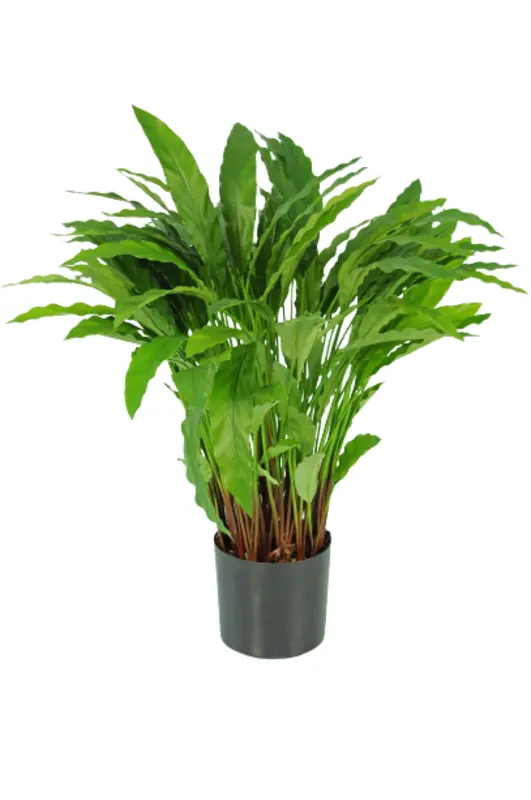 Kunstig calathea - H: 88 cm.