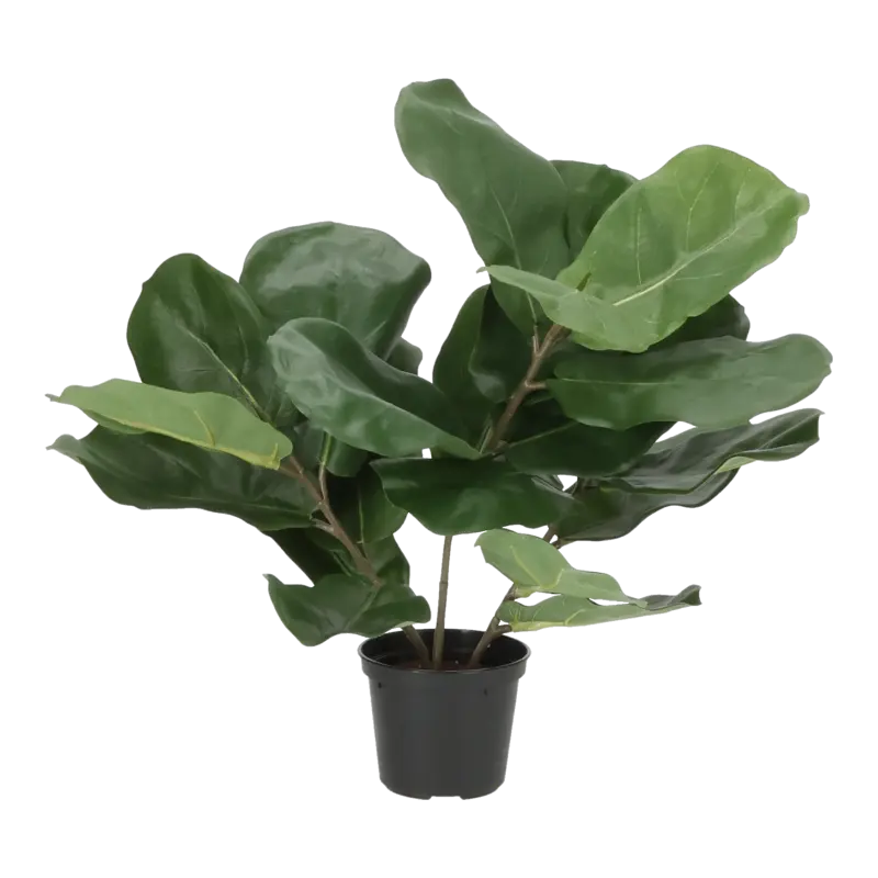 Kunstig violinfigen - H: 40 cm.