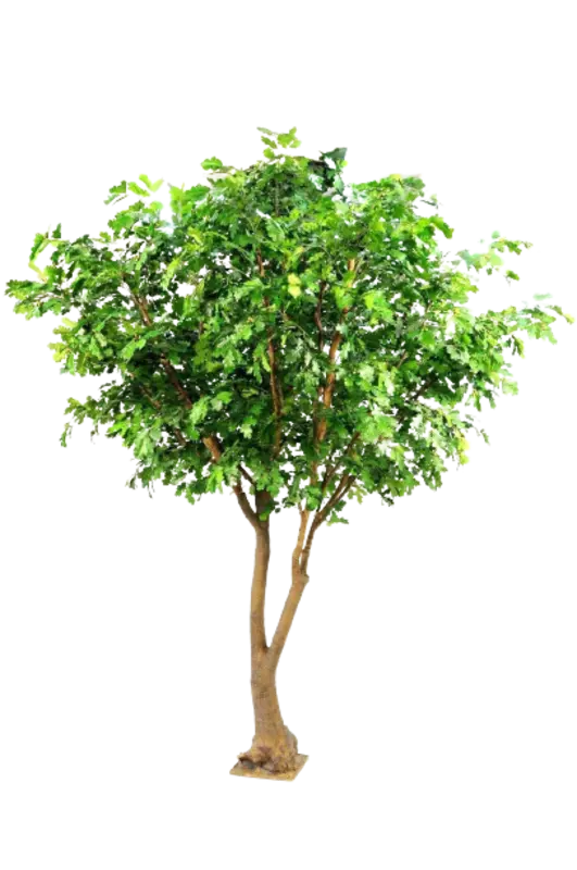 Kunstig Egetræ FR - H: 360 cm.