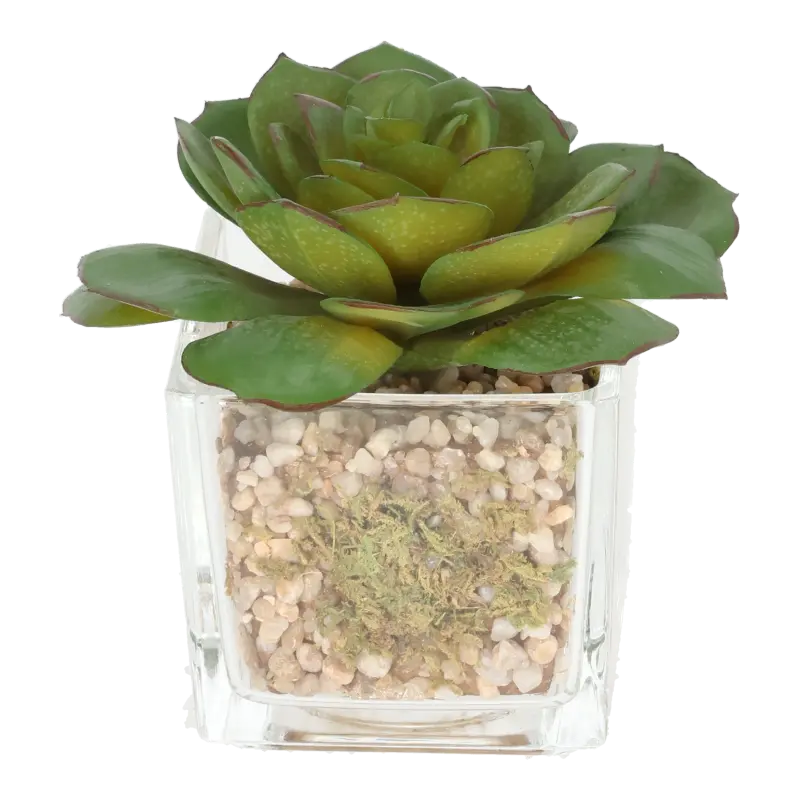 Kunstig sukkulent grøn - H: 10 cm.