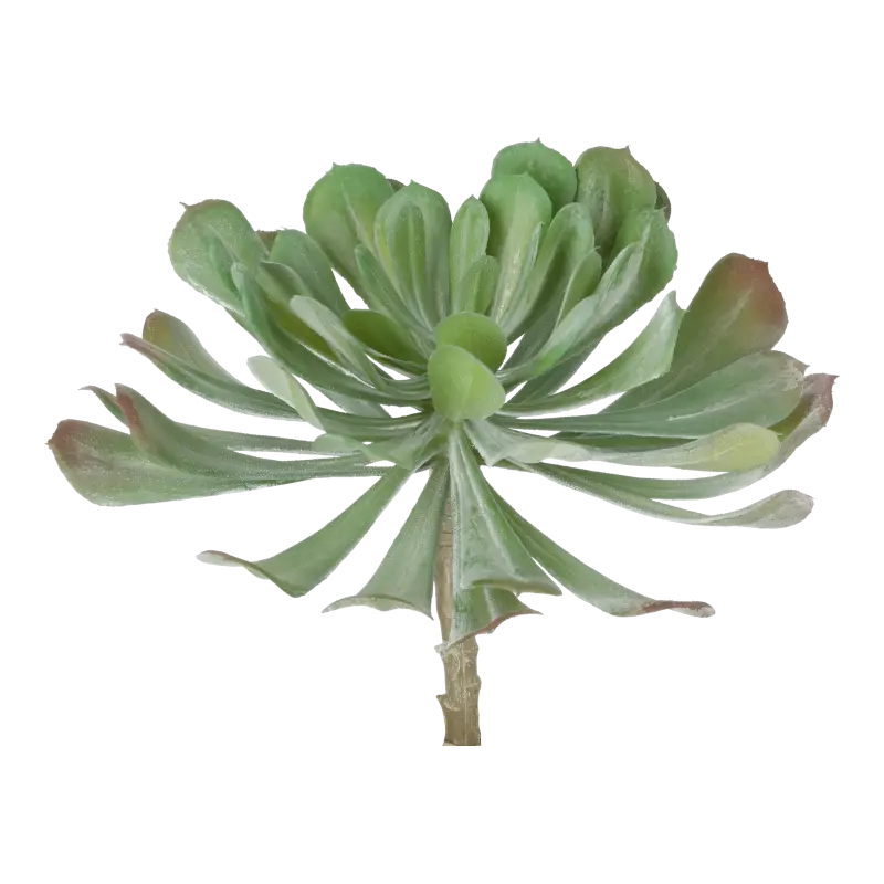 Kunstig Echeveria - Dia: 20 cm.