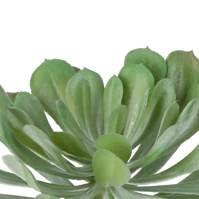 Closeup af Kunstig Echeveria - Dia: 20 cm.
