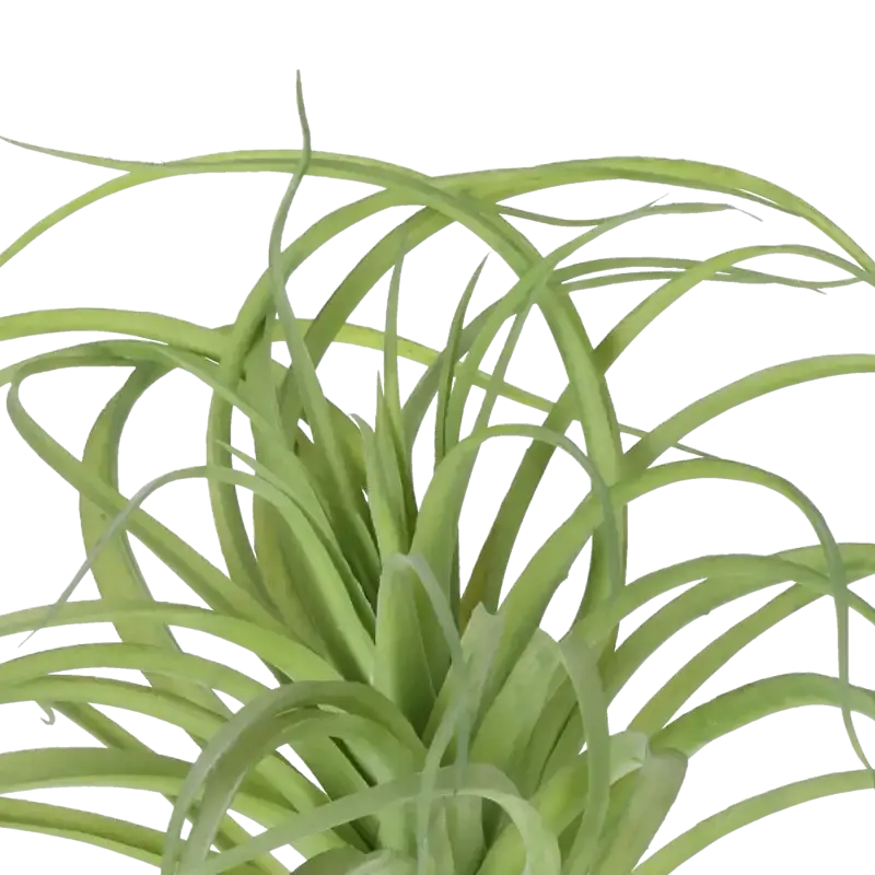 Closeup af Kunstig tillandsia busk - H 29 cm..