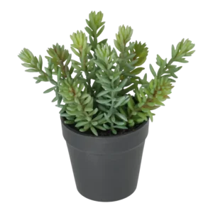 Kunstig sukkulent plante - H: 18 cm.