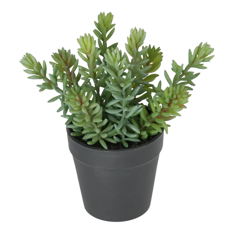Kunstig sukkulent plante - H: 18 cm.