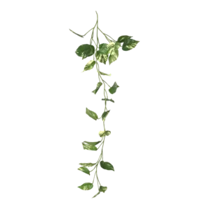 Kunstig Pothos hængeranke - L: 115 cm.