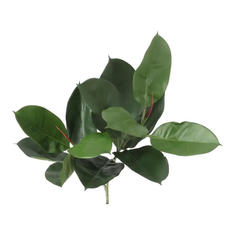 Kunstig gummiplante gren FR - L: 60 cm.