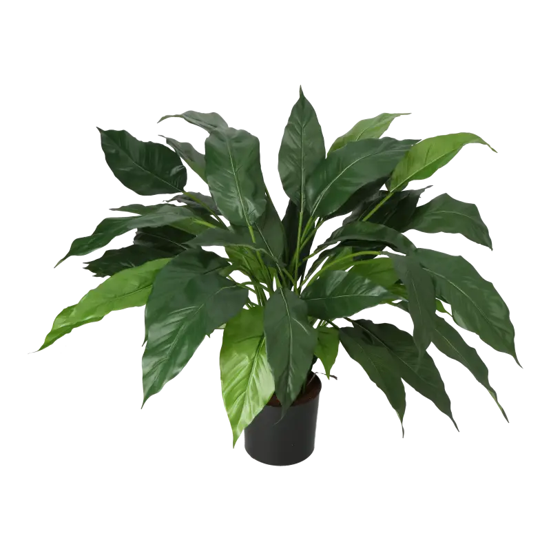 Kunstig fredslilje - H: 75 cm.
