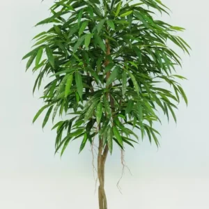 Kunstig royal longifolia træ - H: 185 cm.