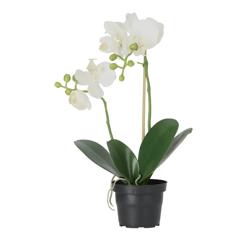 Kunstig orkidé hvid - H: 45 cm.