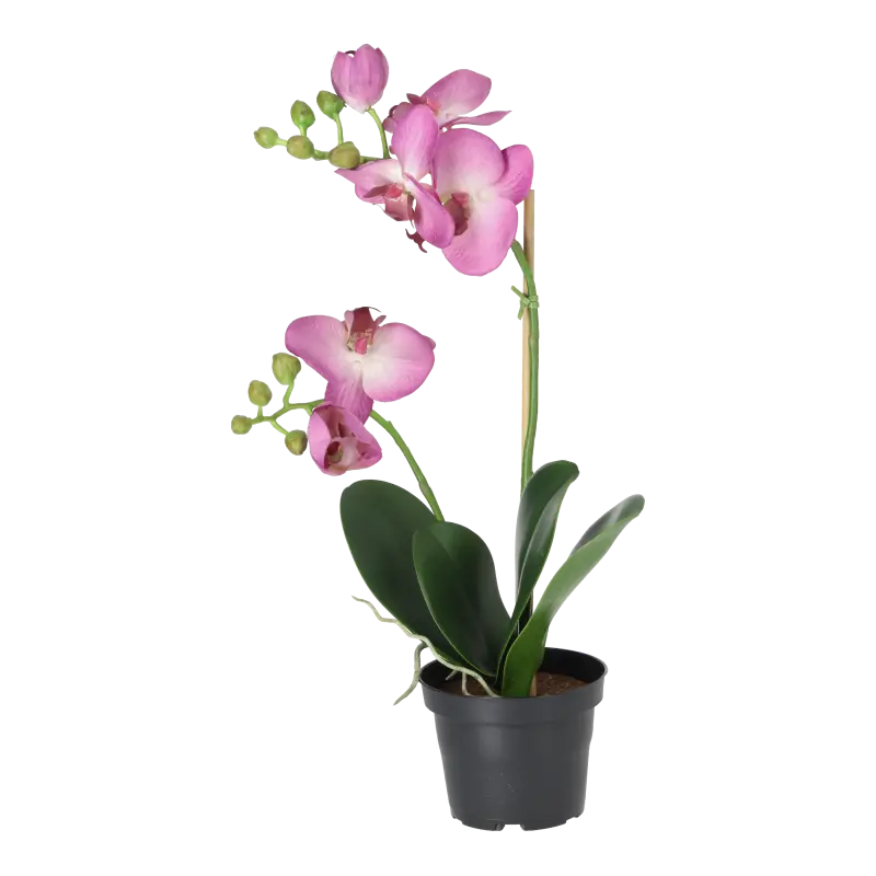Kunstig orkidé pink - H: 45 cm.