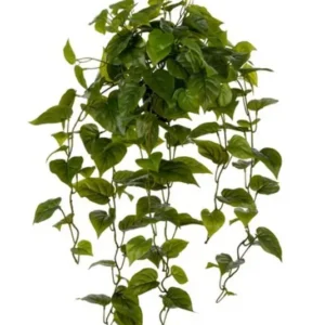 Kunstig guldranke med potte - L: 70 cm.