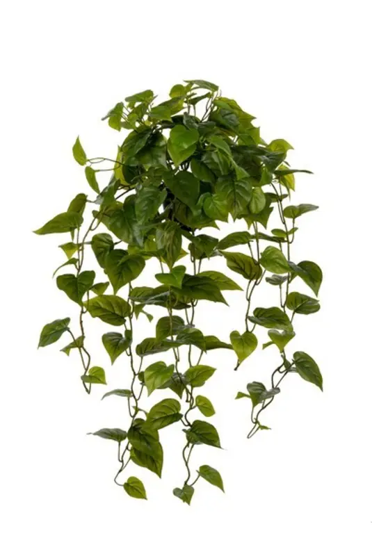 Kunstig guldranke med potte - L: 70 cm.