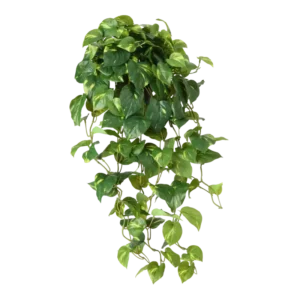 Kunstig lys guldranke med potte - L: 70 cm.