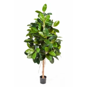 Kunstigt Gummiplante træ H: 180 cm.