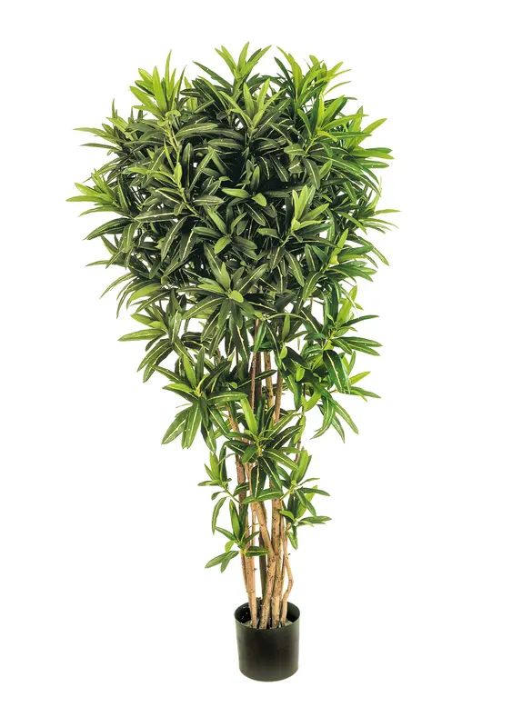 Kunstig croton træ - H: 180 cm.