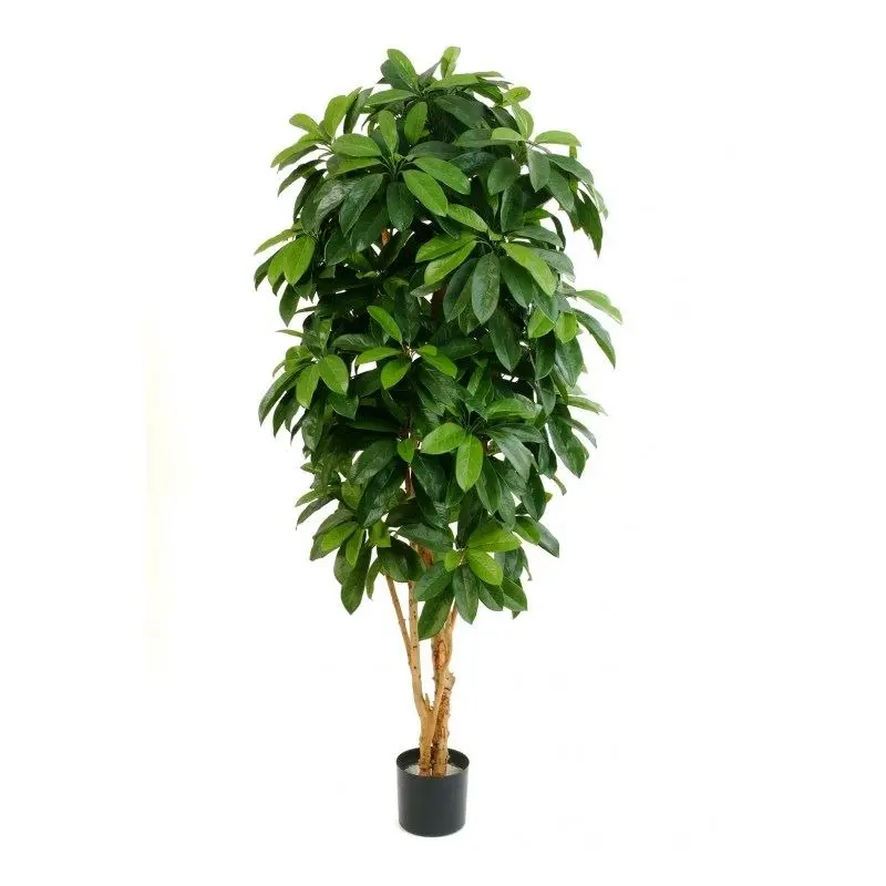 Kunstig Schefflera træ FR - H: 170 cm.