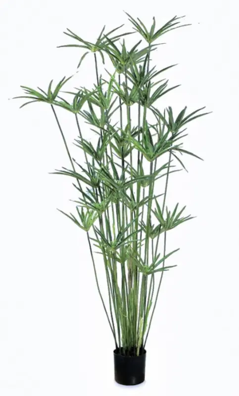 Kunstig papyrus plante - 170 cm.