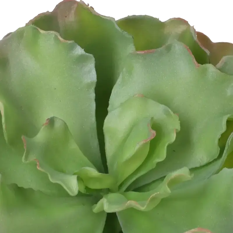 Closeup af Kunstig echeveria busk - H: 18 cm.