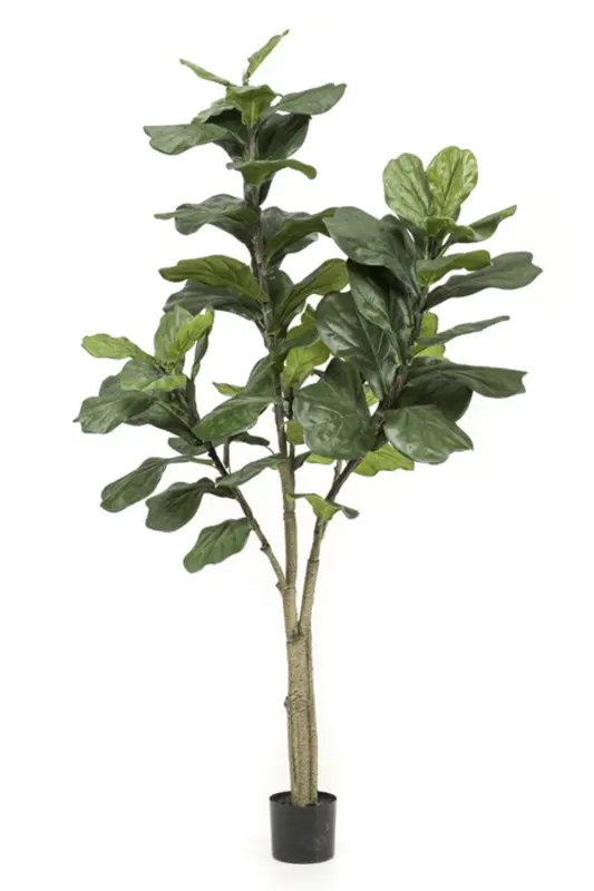 Kunstig violinfigen træ - H: 180 cm.