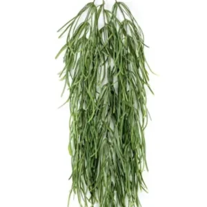 Kunstig Rhipsalis vine x 3 grøn - L: 80 cm.