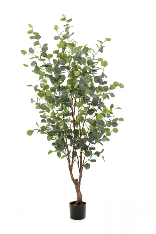 Kunstig eukalyptus træ - H: 180 cm.