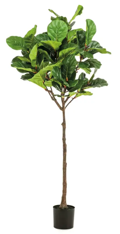 Kunstig violinfigen træ - H: 180 cm.