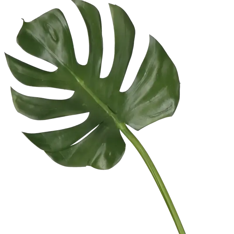 Closeup af Kunstig Monstera blad L: 78 cm.