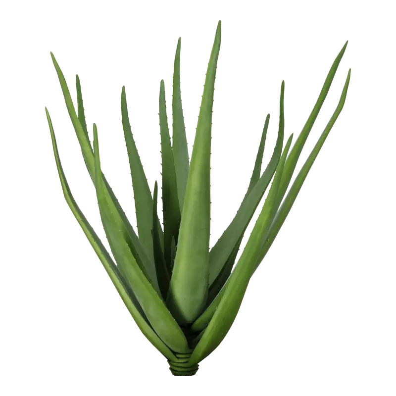 Kunstig aloe vera - H: 60 cm.