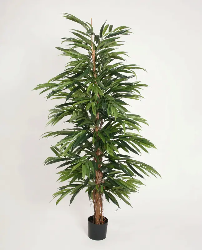 Kunstig longifolia træ - H: 170 cm.