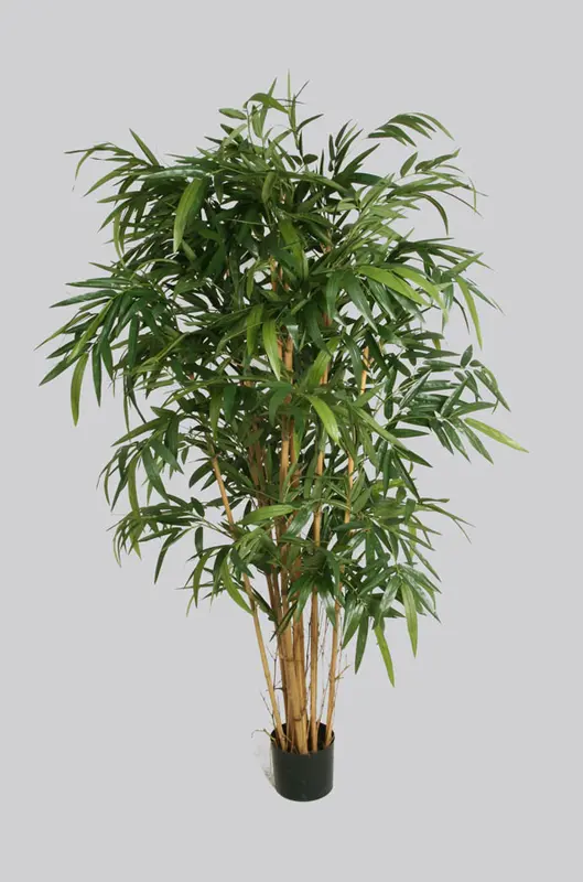 Kunstig bambus træ - H: 200 cm.