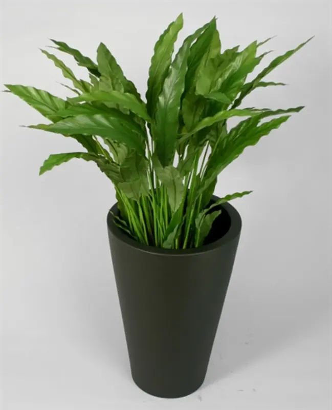 Kunstig calathea - H: 84 cm.