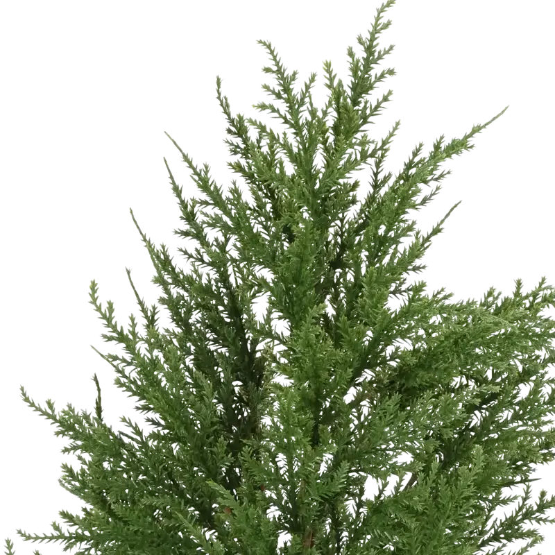 Closeup af Kunstig thuja busk - H: 55 cm.