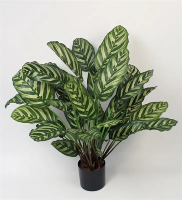 Kunstig calathea - H: 56 cm.