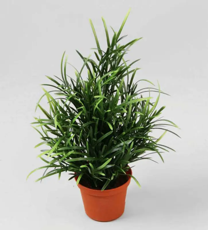 Kunstig Willow plante - H: 18 cm.