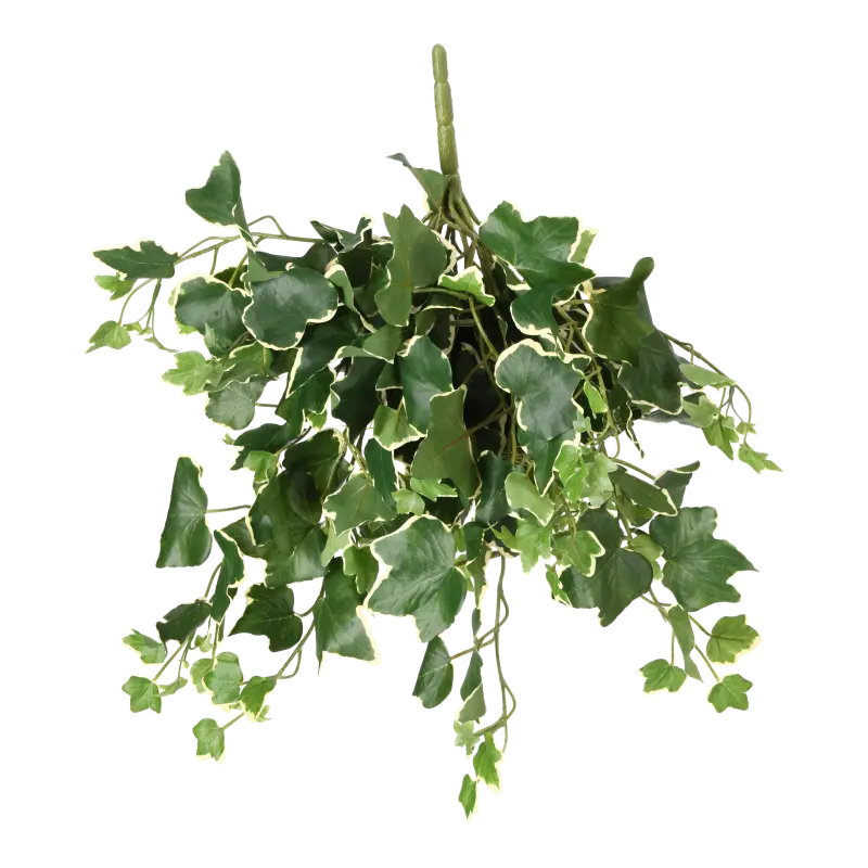 Kunstig efeu hængeplante grøn/hvid - L: 45 cm.