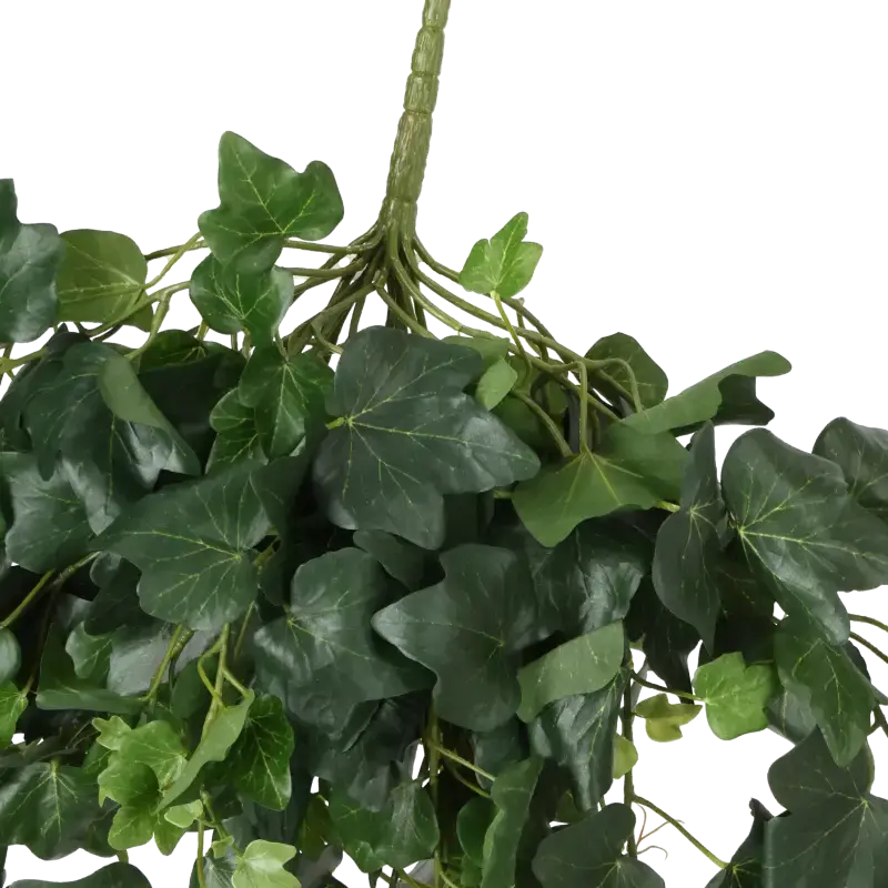 Closeup af Kunstig efeu hængeplante - L: 65 cm.