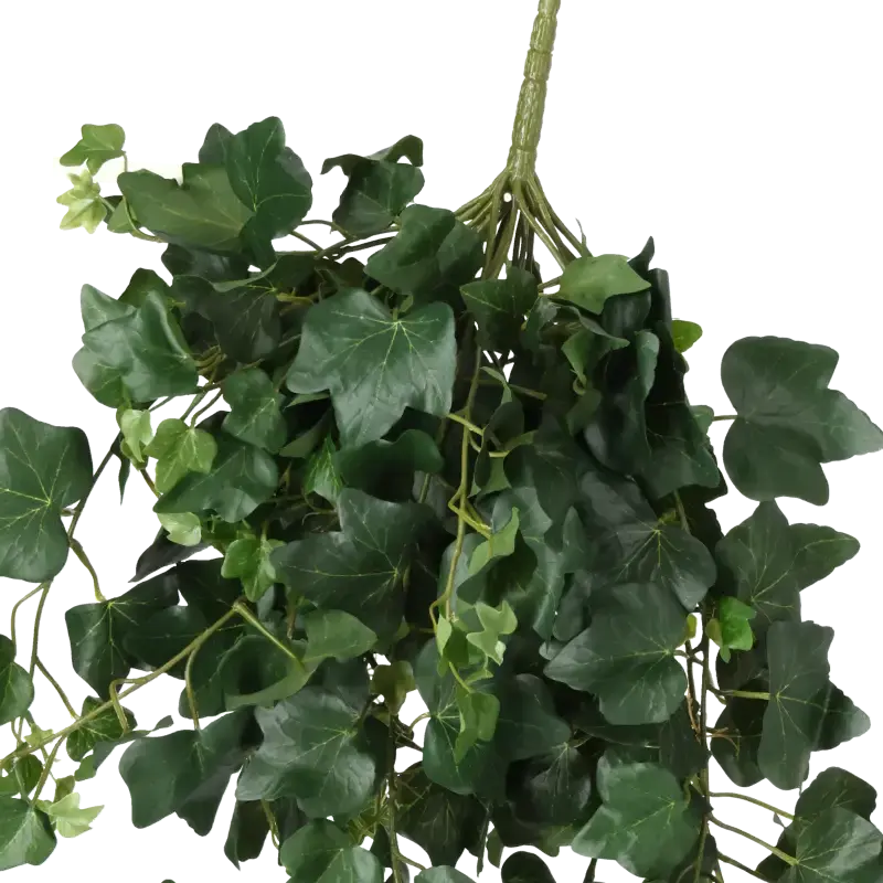 Closeup af Kunstig efeu hængeplante - L: 75 cm.