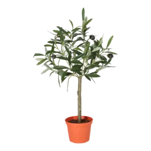 Kunstig mini oliventræ - H: 45 cm.
