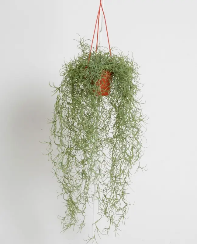 Kunstig spansk mos hængeplante - L: 80 cm.