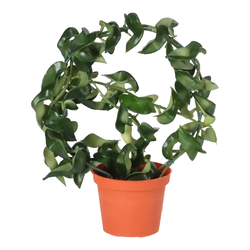 Kunstig hoya ring - H: 23 cm.