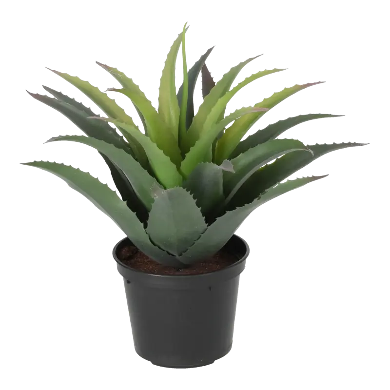 Kunstig baby agave - H: 25cm.