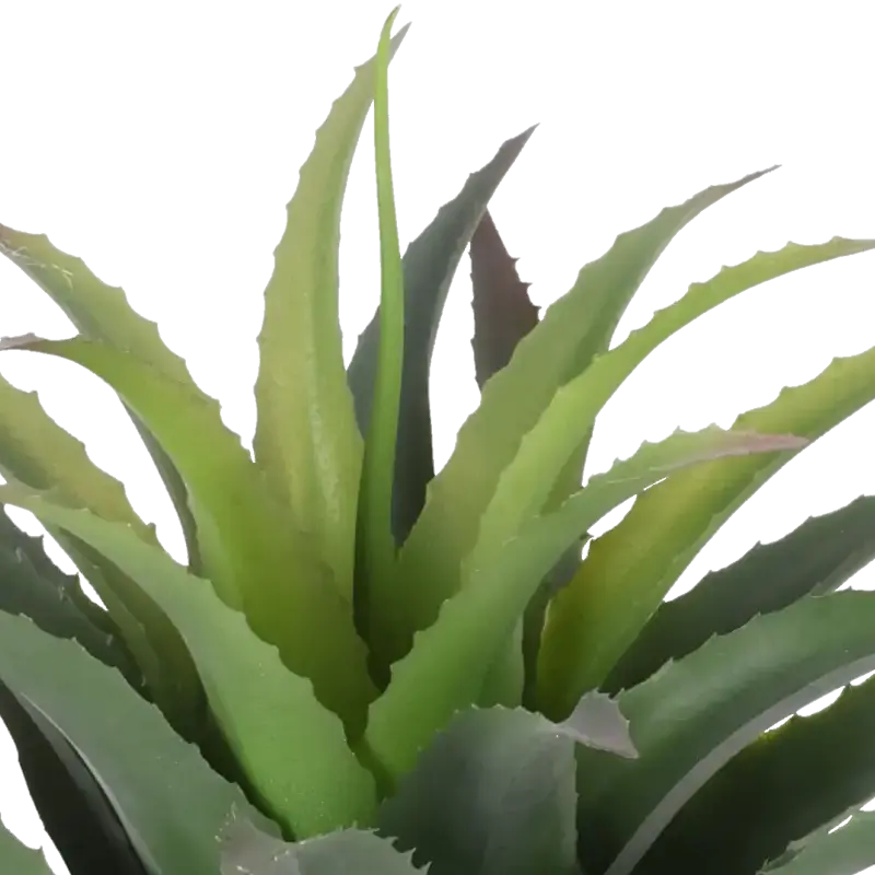 Closeup af Kunstig baby agave - H: 25cm.
